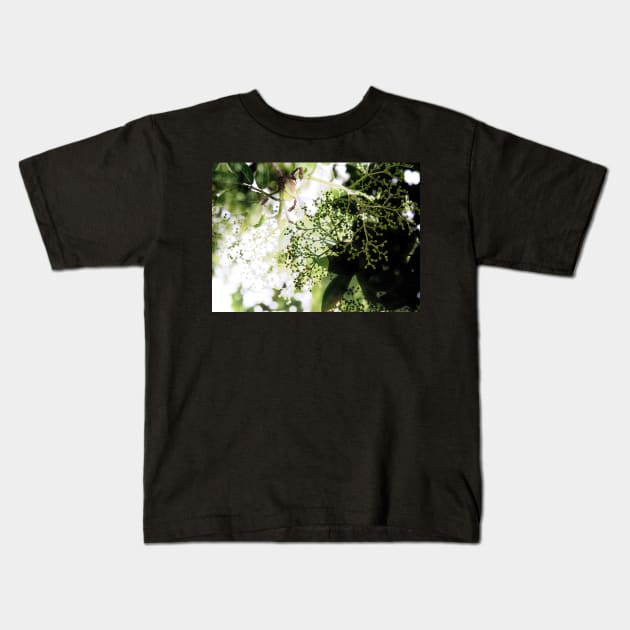 Elderflower blossom in midsummer light Kids T-Shirt by WesternExposure